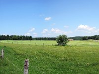 [Group 0]-DSCN8074 DSCN8075-2 images